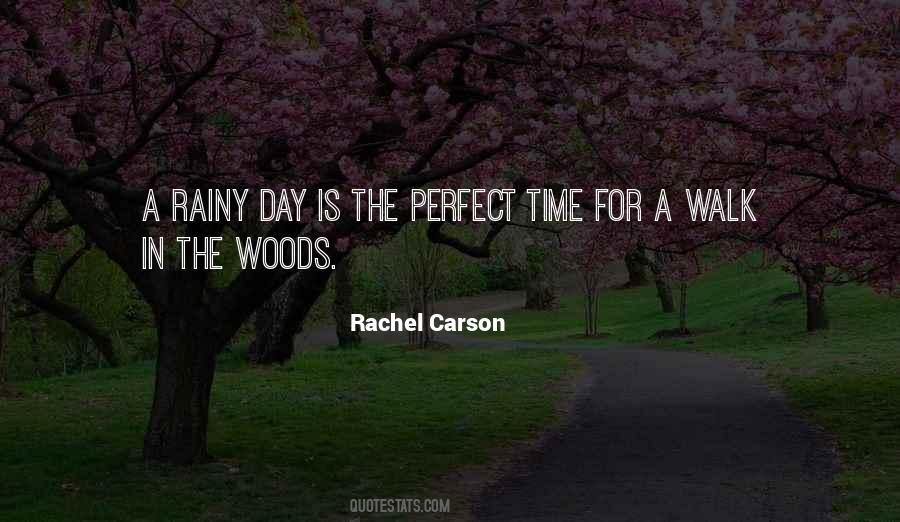 Walk In The Woods Quotes #683439