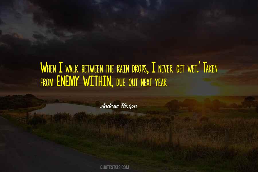 Walk With You In The Rain Quotes #12764