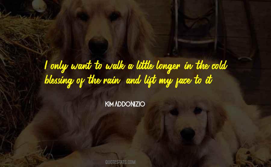 Walk With You In The Rain Quotes #1372206