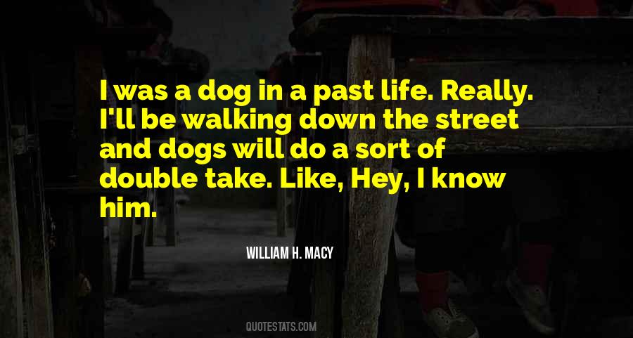 Walking My Dog Quotes #1689253