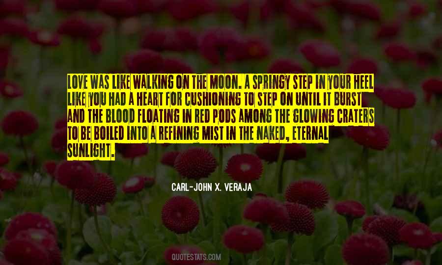 Walking On The Moon Quotes #1271905
