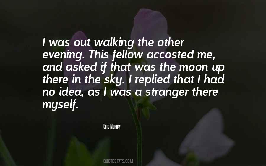 Walking On The Sky Quotes #372784