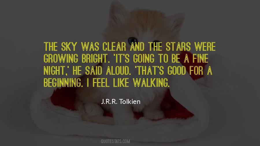 Walking On The Sky Quotes #56717