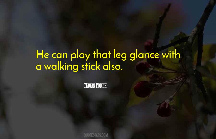 Walking Stick Quotes #438188