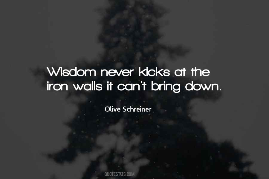 Walls Come Down Quotes #235359