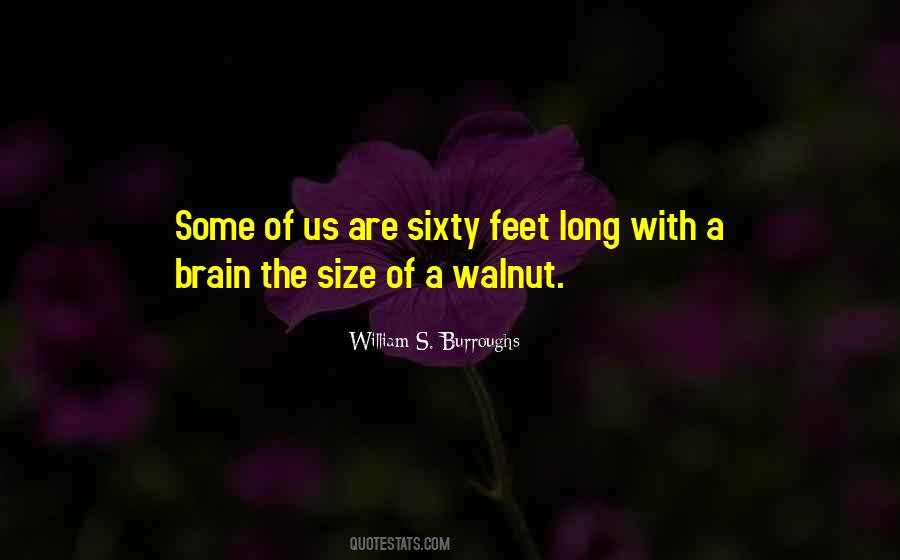 Walnut Quotes #1289235