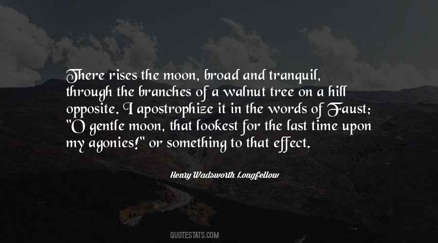 Walnut Tree Quotes #596557