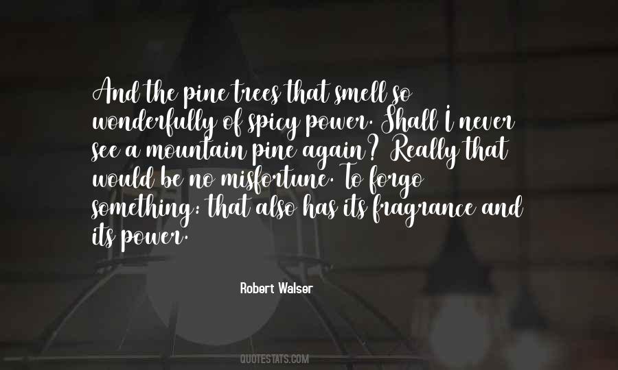 Walser Quotes #639079