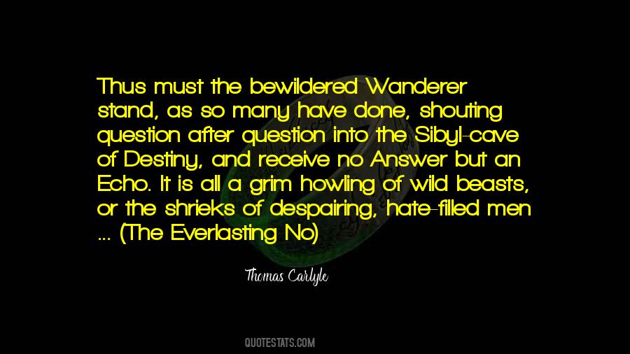 Wanderer Quotes #1150045