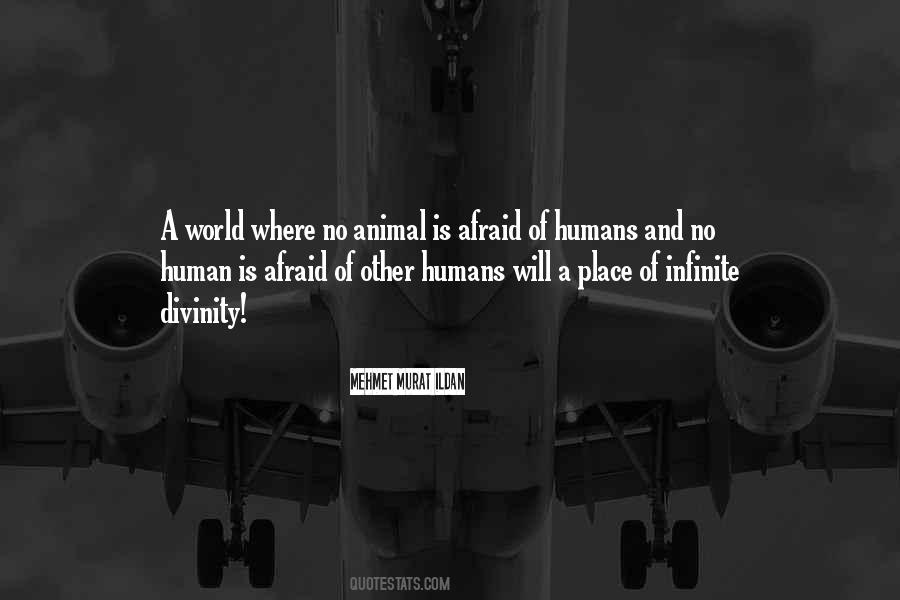 Quotes About Animal And Humans #1115508