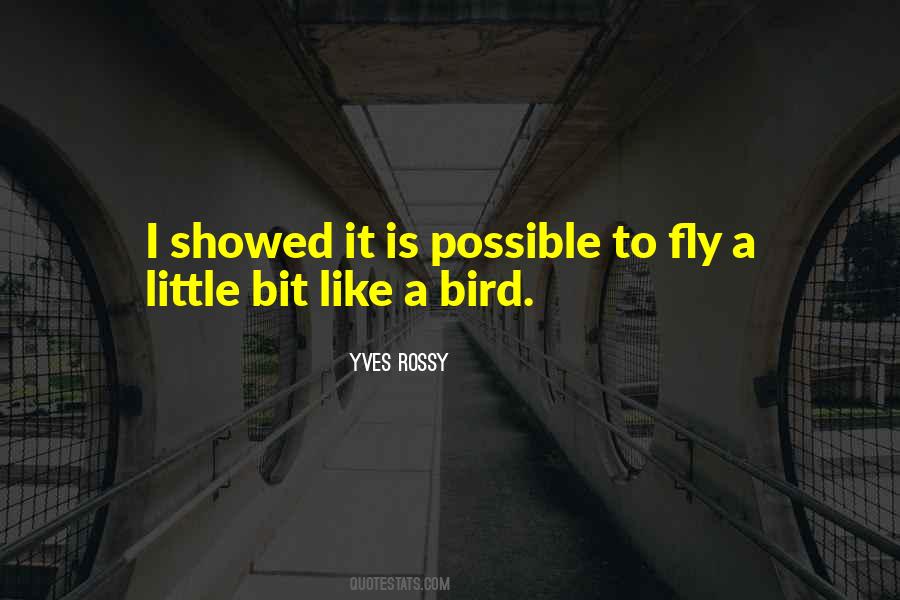 Want To Fly Like A Bird Quotes #415033