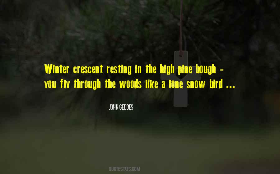 Want To Fly Like A Bird Quotes #923617