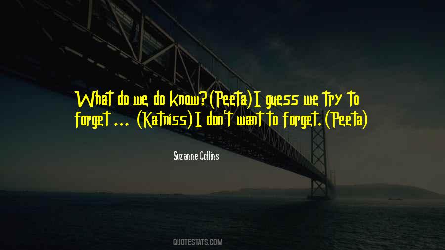 Want To Forget Quotes #1553239