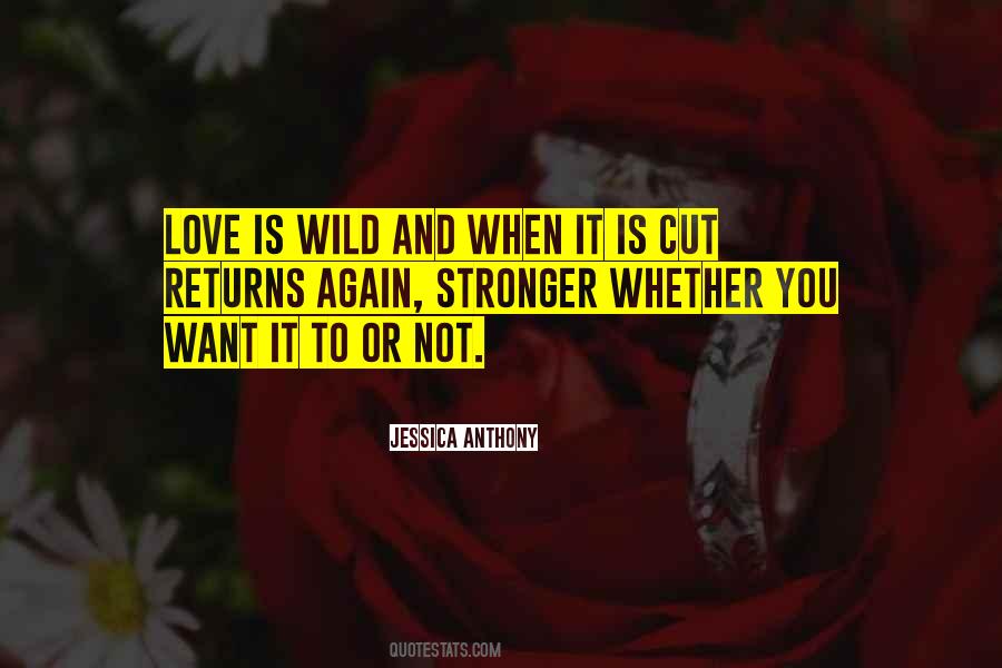 Want To Love You Quotes #28435