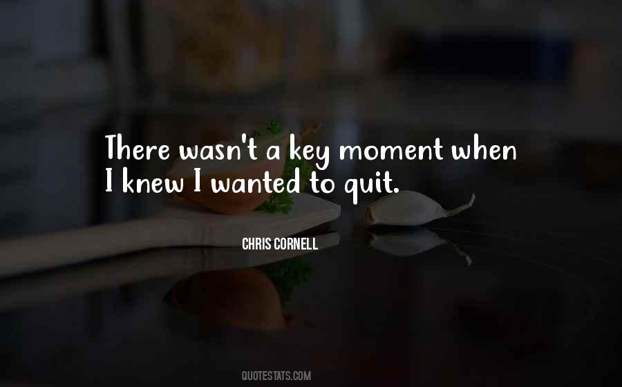 Wanted To Quit Quotes #605289