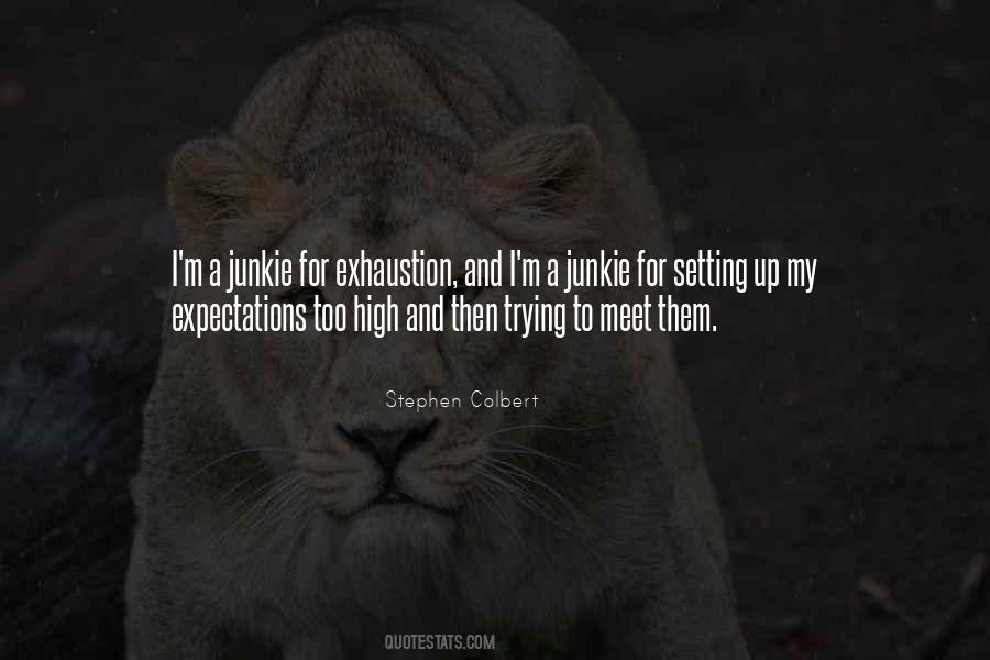 Quotes About Expectations Too High #581451