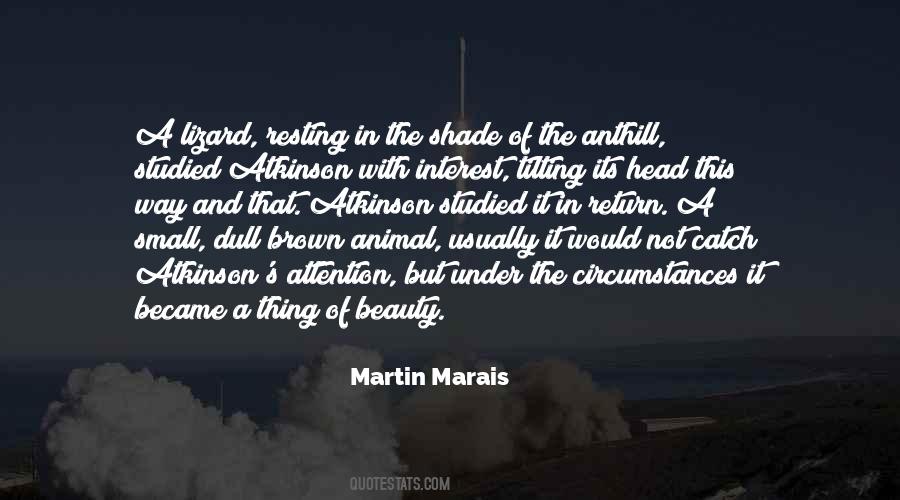 War In Africa Quotes #1104616