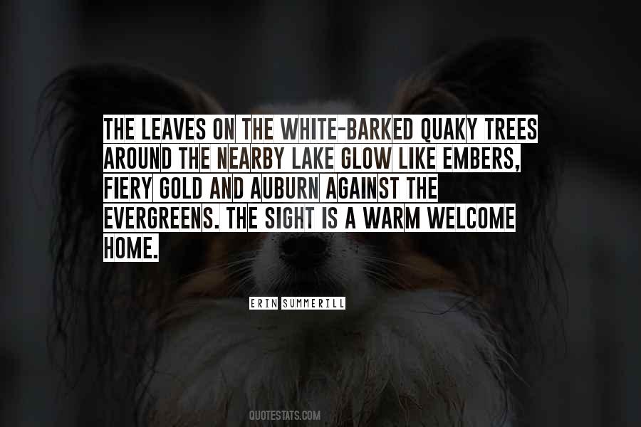 Warm Welcome Home Quotes #1248118