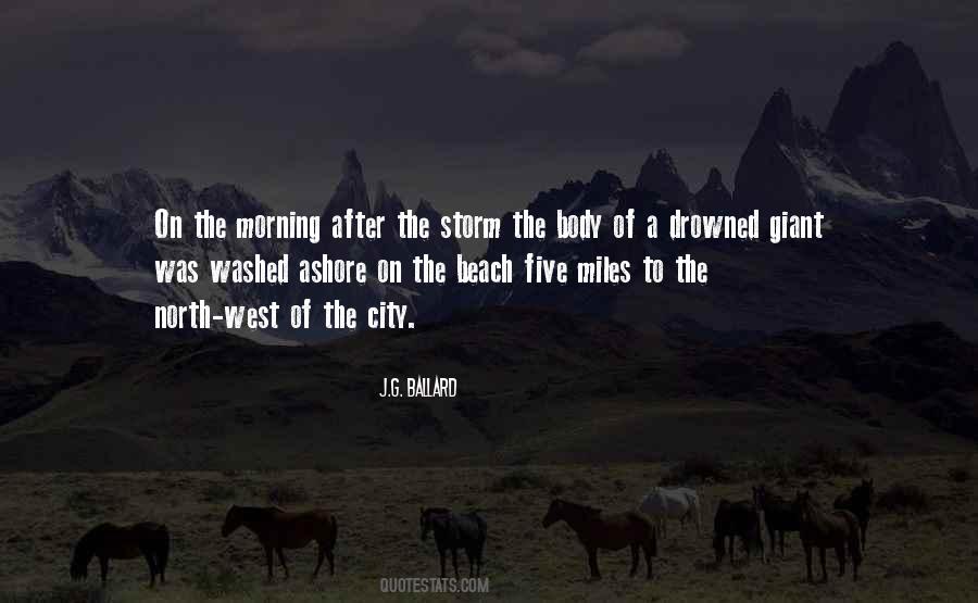 Washed Ashore Quotes #955586