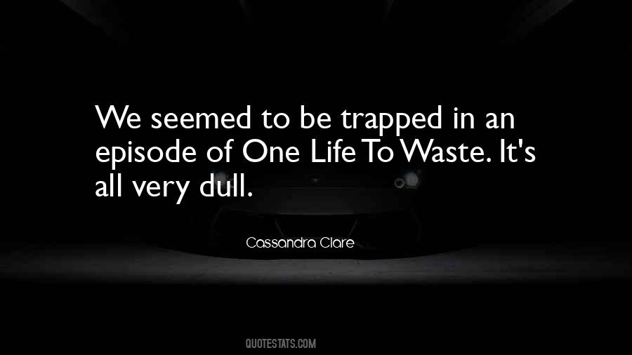 Waste Of Life Quotes #159867
