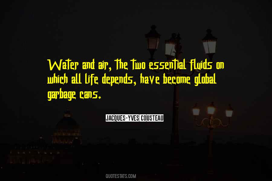 Water And Air Pollution Quotes #741041