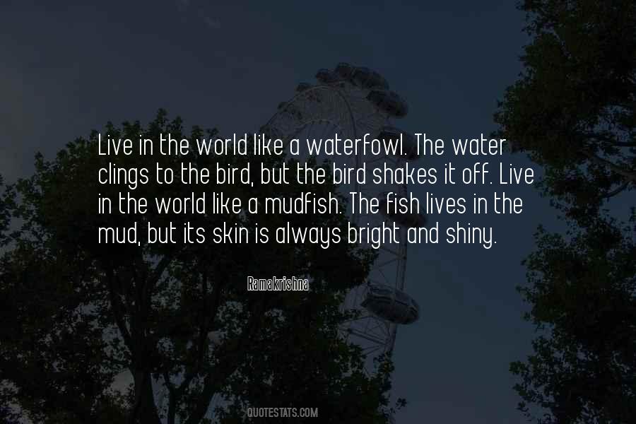 Water And Fish Quotes #870442