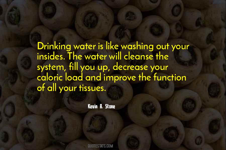 Water And Stone Quotes #1817122