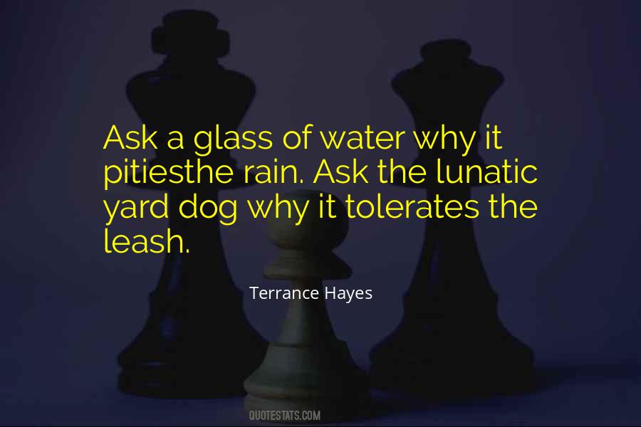 Water Dog Quotes #1760656