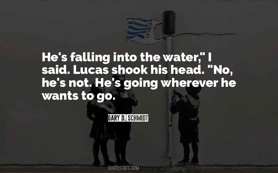 Water Falling Quotes #733174