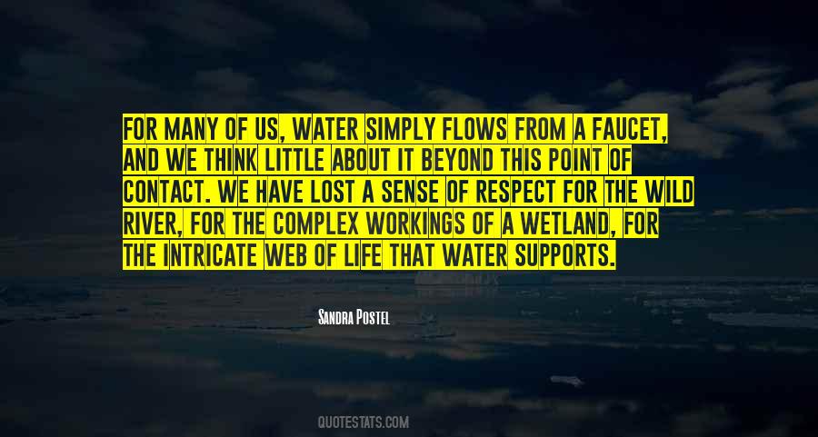 Water For Life Quotes #24600