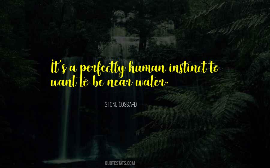 Water Stone Quotes #1076372