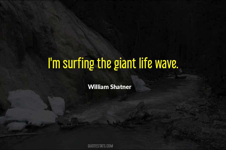 Wave Surfing Quotes #1276920