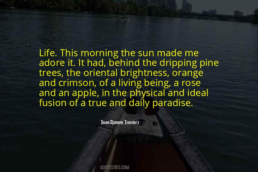 Way To Paradise Quotes #66374