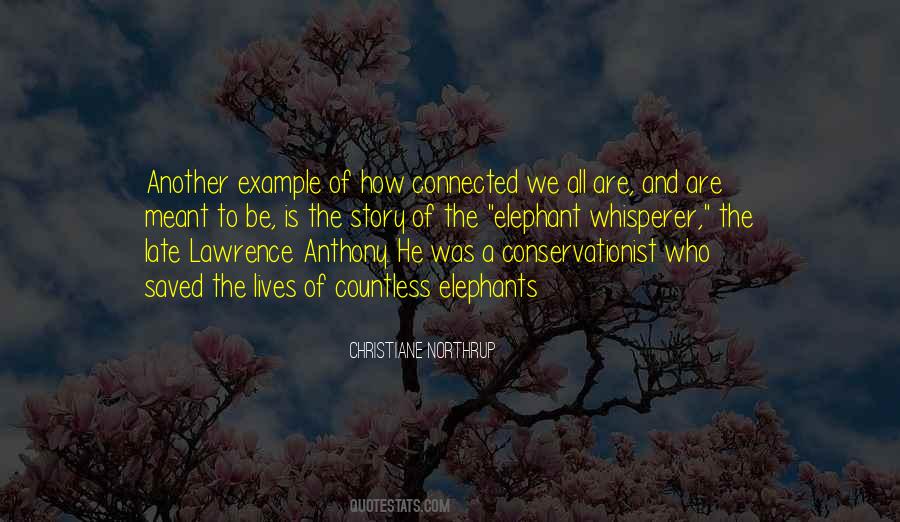 We All Are Connected Quotes #1283922