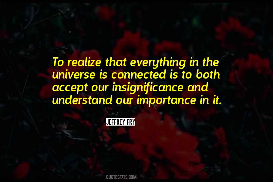 We Are All Connected To The Universe Quotes #572039