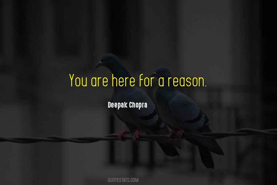We Are All Here For A Reason Quotes #79293