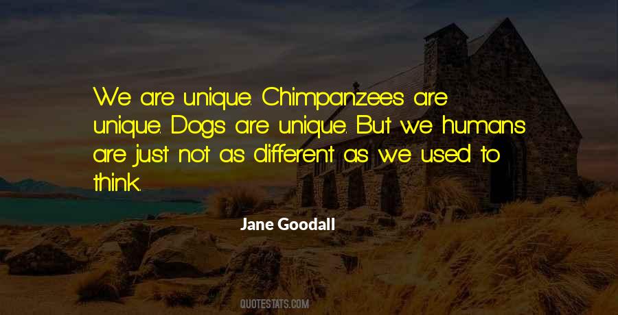 We Are Not Different Quotes #202589