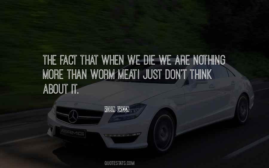 We Are Nothing Quotes #1455631