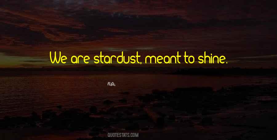 We Are Stardust Quotes #1037354