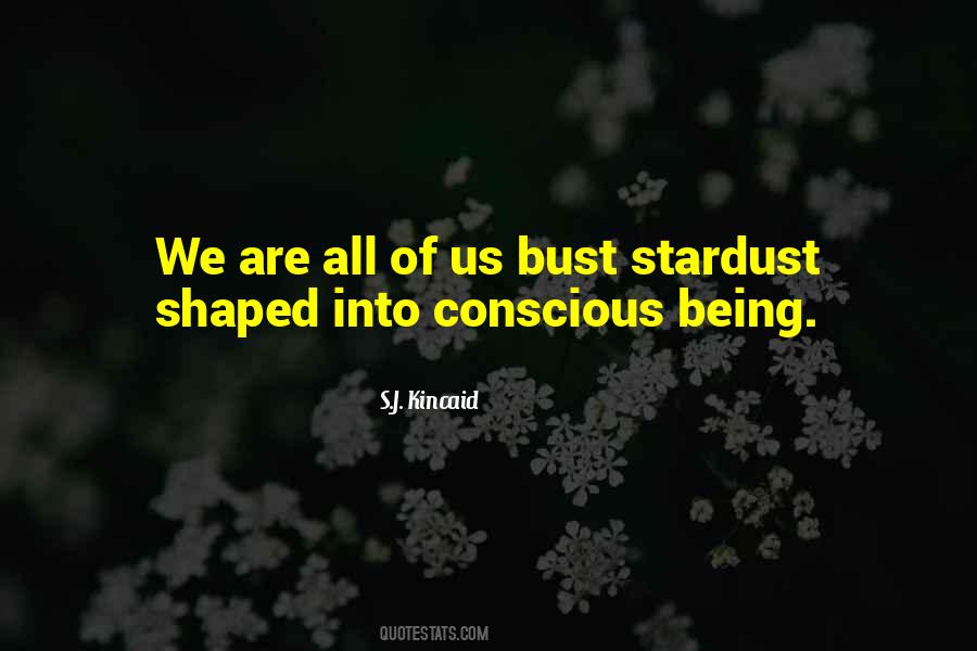 We Are Stardust Quotes #1309404