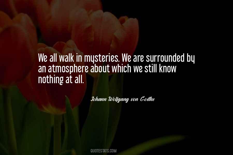 We Are Surrounded Quotes #776639