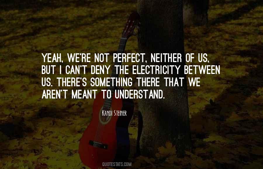 We Aren't Perfect Quotes #1510571