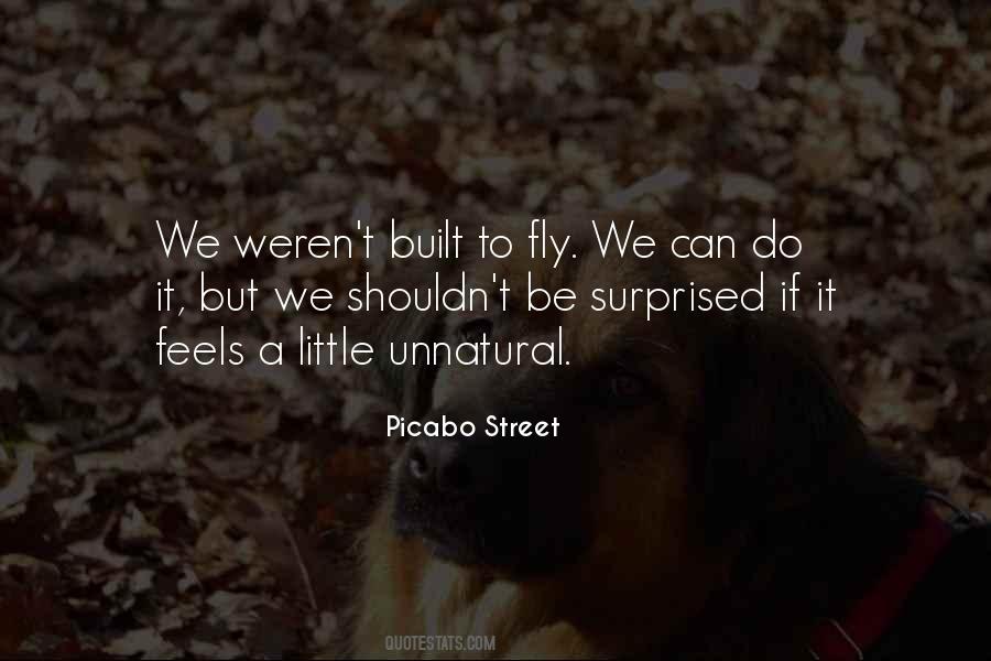 We Can Fly Quotes #1640711