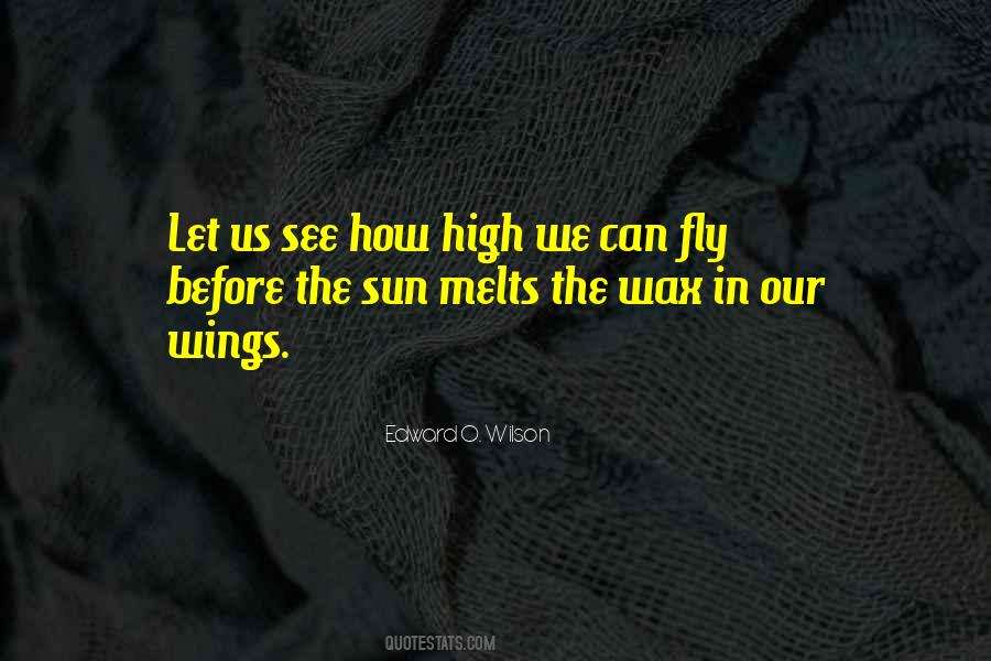 We Can Fly Quotes #735004