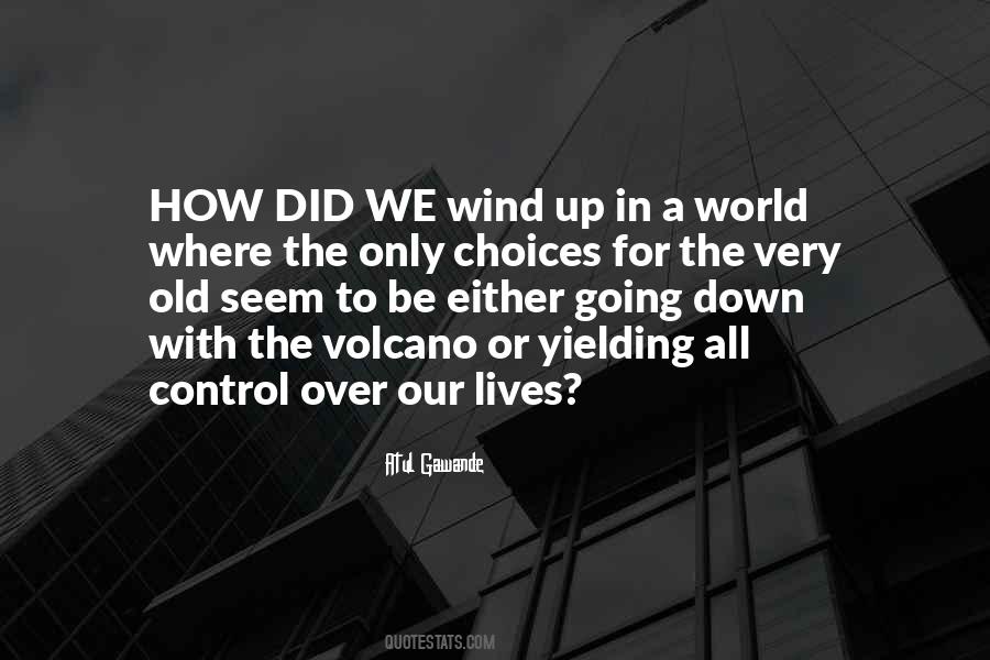 We Can't Control The Wind Quotes #1602558