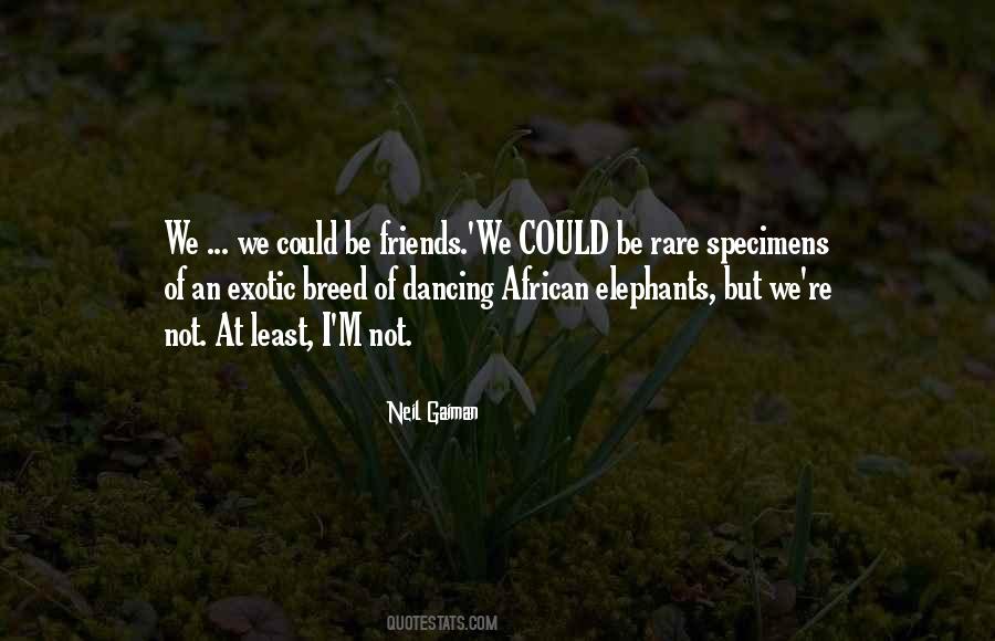 We Could Be Friends Quotes #397002