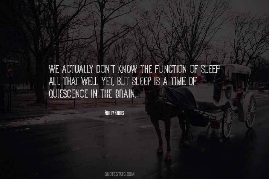 We Don't Sleep Quotes #396548