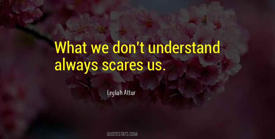 We Don't Understand Quotes #1273066