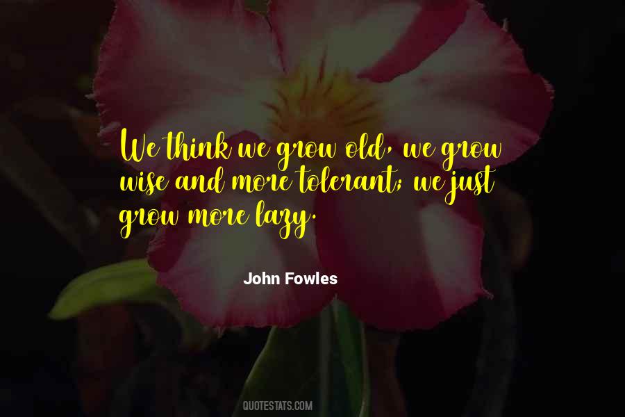 We Grow Older Quotes #899372