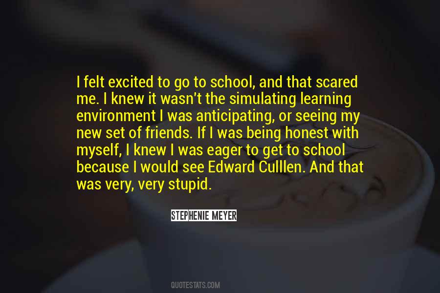 Quotes About Being Stupid #228349